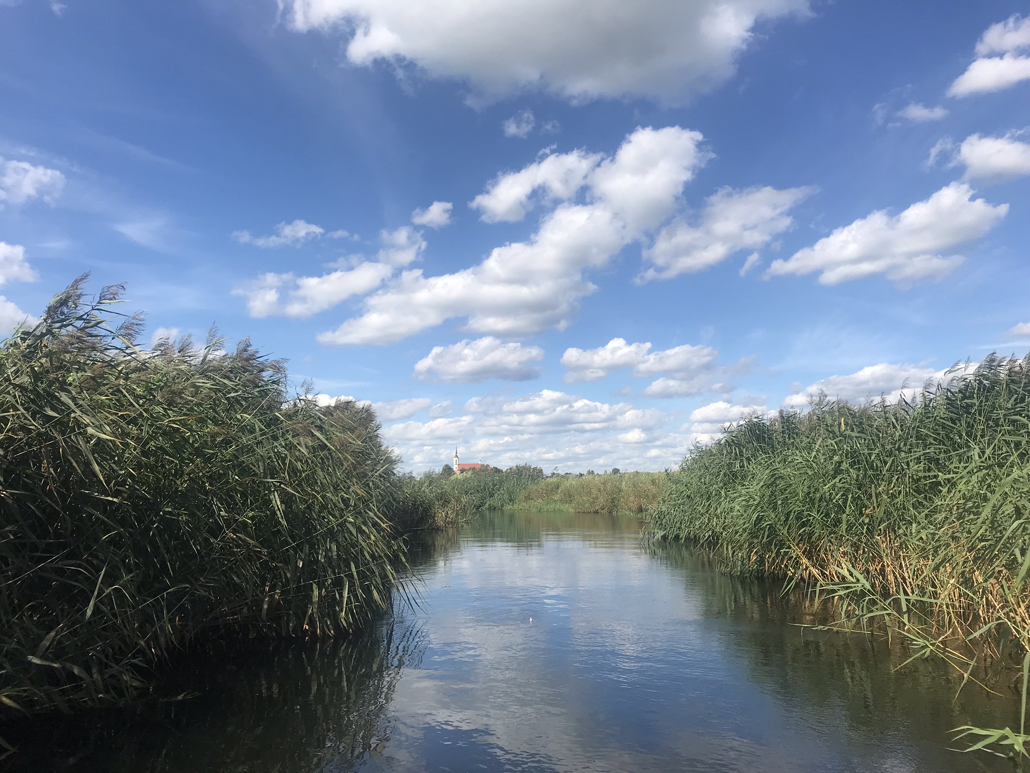 Wasilków. Wyłowiono zwłoki mężczyzny