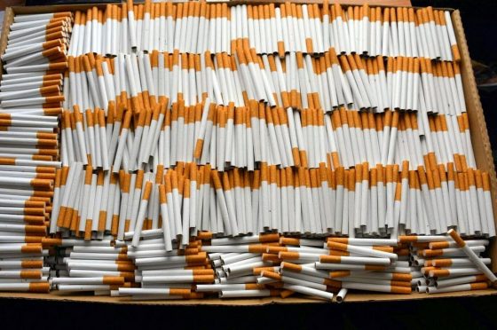 Budzisko. KAS udaremniła przemyt 750 tys. paczek papierosów