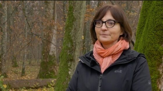 MKiŚ: dr Renata Krzyściak-Kosińska koordynatorką ds. współpracy z UNESCO ws. Puszczy Białowieskiej