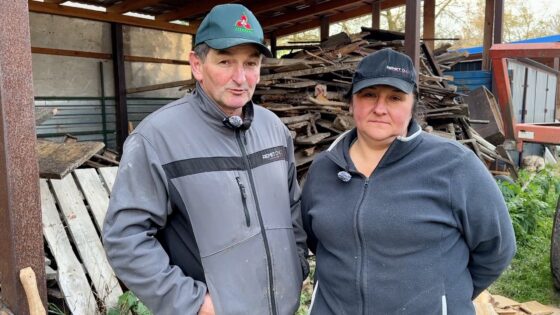 Rąbią, piłują i rżną przed zimą w Bronowie