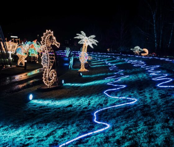 Białystok i okolice po raz pierwszy rozbłysną milionem świateł. Otwiera się  największy park iluminacji na Podlasiu.
