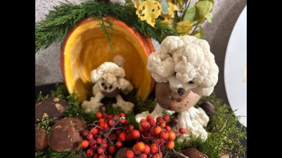 Cudowanie z ziemniakiem w Kuleszach Kościelnych