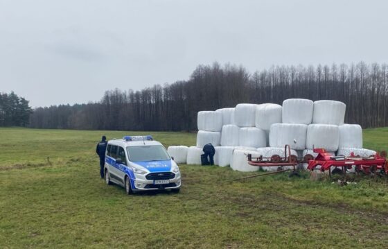 Poszukiwania zaginionego mężczyzny w gminie Przytuły zakończone