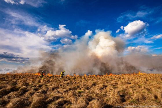 Augustów.Prokuratura umorzyła sprawę pożaru w Biebrzańskim Parku Narodowym