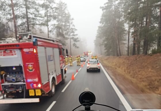 Białystok – Korycin. Utrudnienia po zderzeniu z łosiem