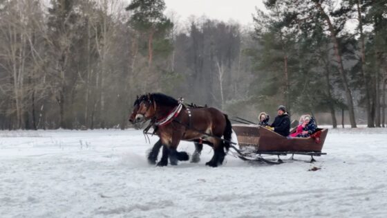 Zabłudów. Czas kuligów
