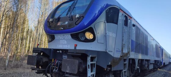 Pociąg relacji Białystok-Warszawa zderzył się z żubrami