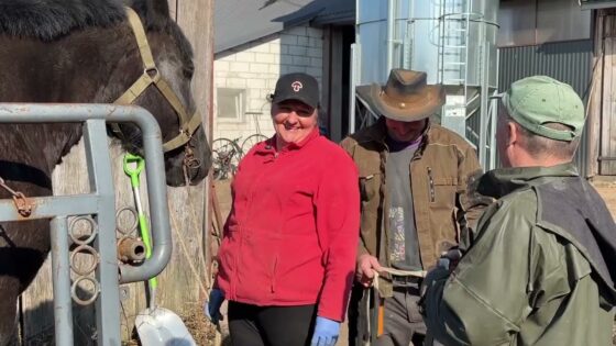 Pielęgnacja kopyt w Bronowie