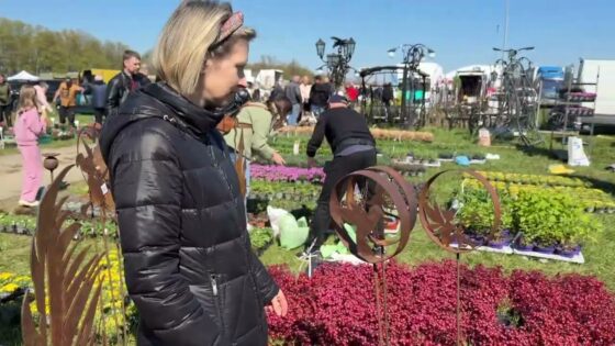 Wiosenne Targi Ogrodnicze w Szepietowie 2026