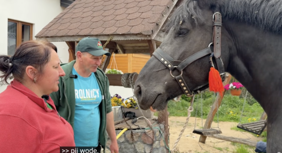 Wianki, kwitnące jabłonie i Gienia na pastwisku. Wiosna zawitała do Bronowa